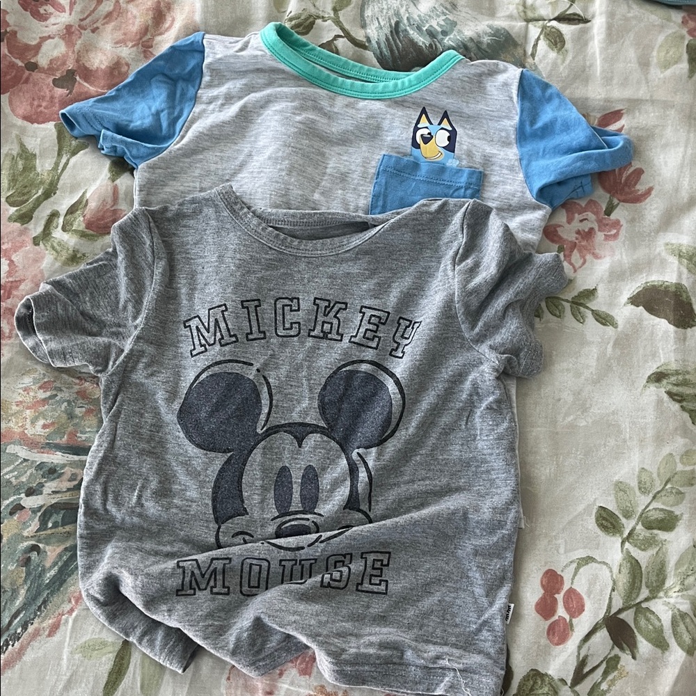 Little Sleepies play 2t lot of 2 shirts